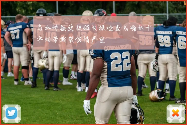 乌加特接受核磁共振检查或确认十字韧带撕裂伤情严重