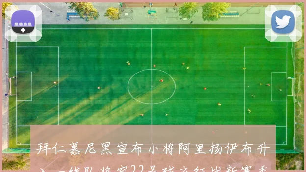 拜仁慕尼黑宣布小将阿里扬伊布升入一线队将穿22号球衣征战新赛季